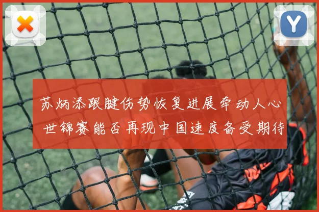 苏炳添跟腱伤势恢复进展牵动人心 世锦赛能否再现中国速度备受期待