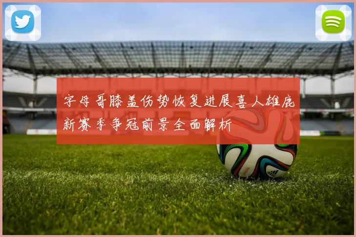 字母哥膝盖伤势恢复进展喜人雄鹿新赛季争冠前景全面解析